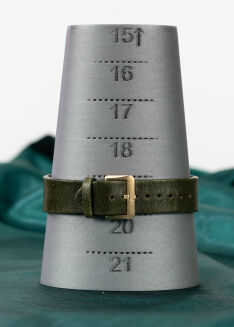 Rado Captain Cook R32504315 Bronze - 12