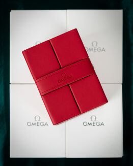 Omega Watch Travel Box (Red) - 2